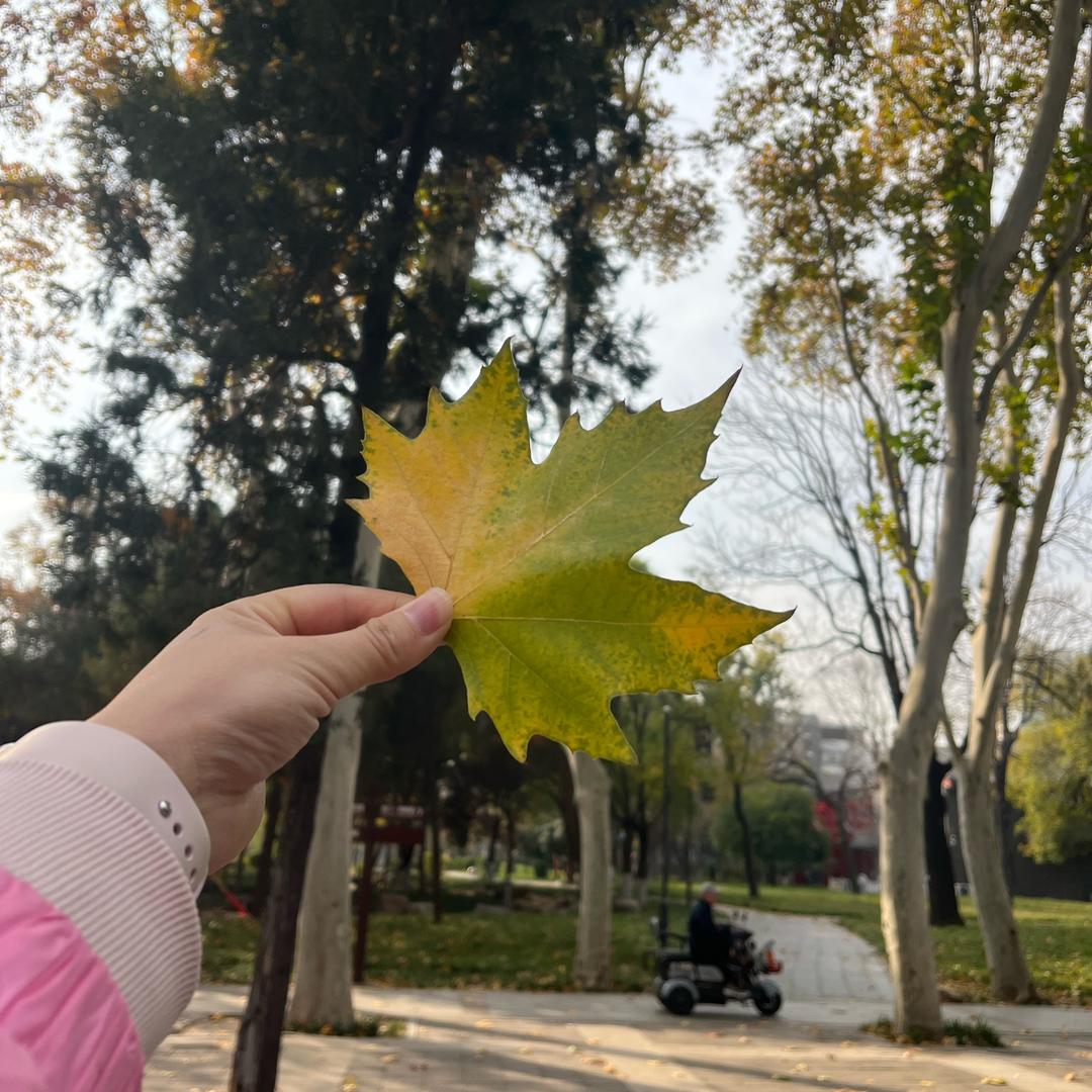 请叫我英宝儿～😄