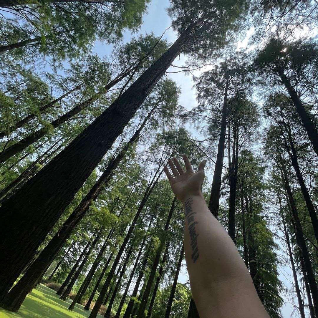 苏北悍匪
