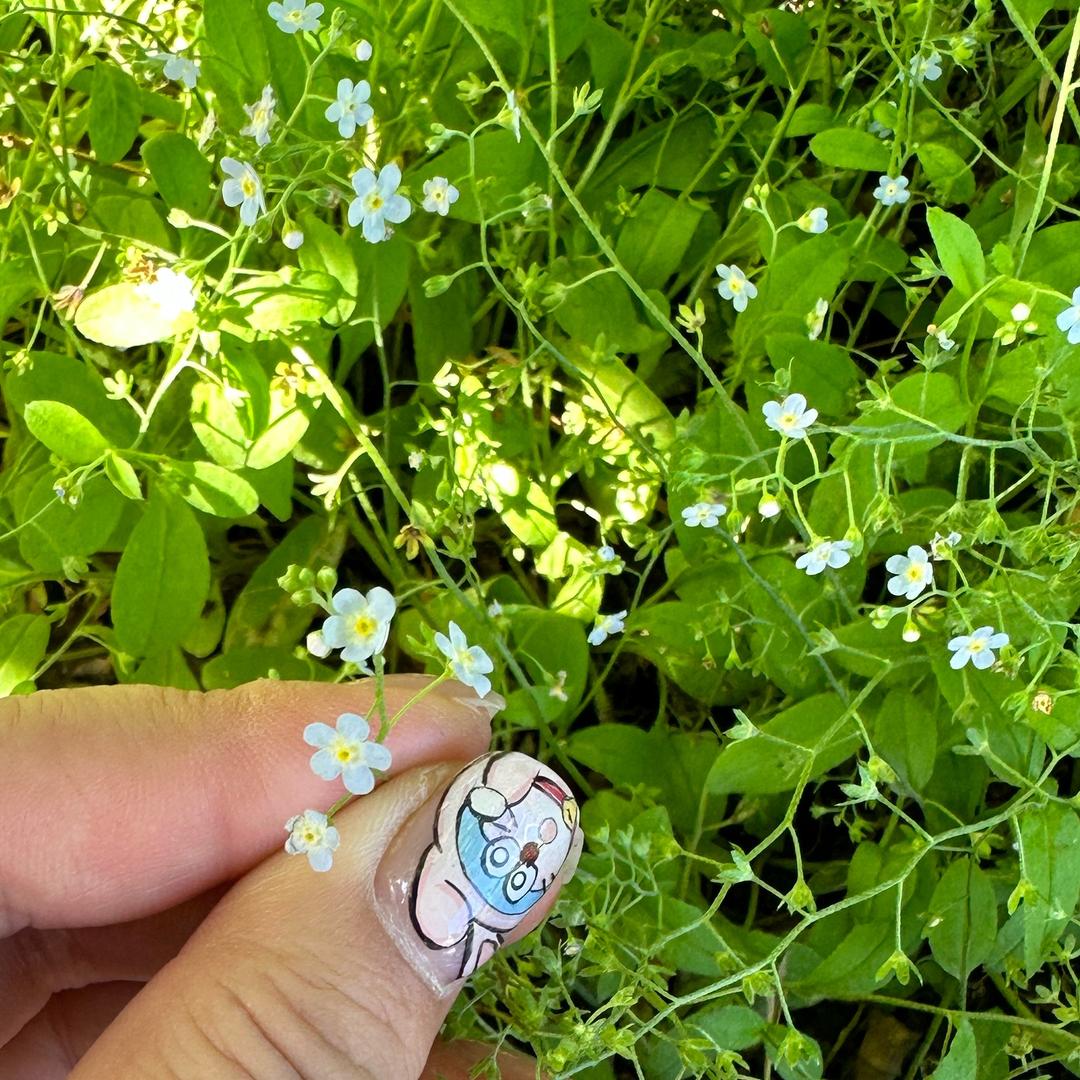 辣辣家小仙女🧚‍♀️