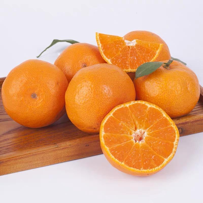 鲜果老王涌泉蜜桔