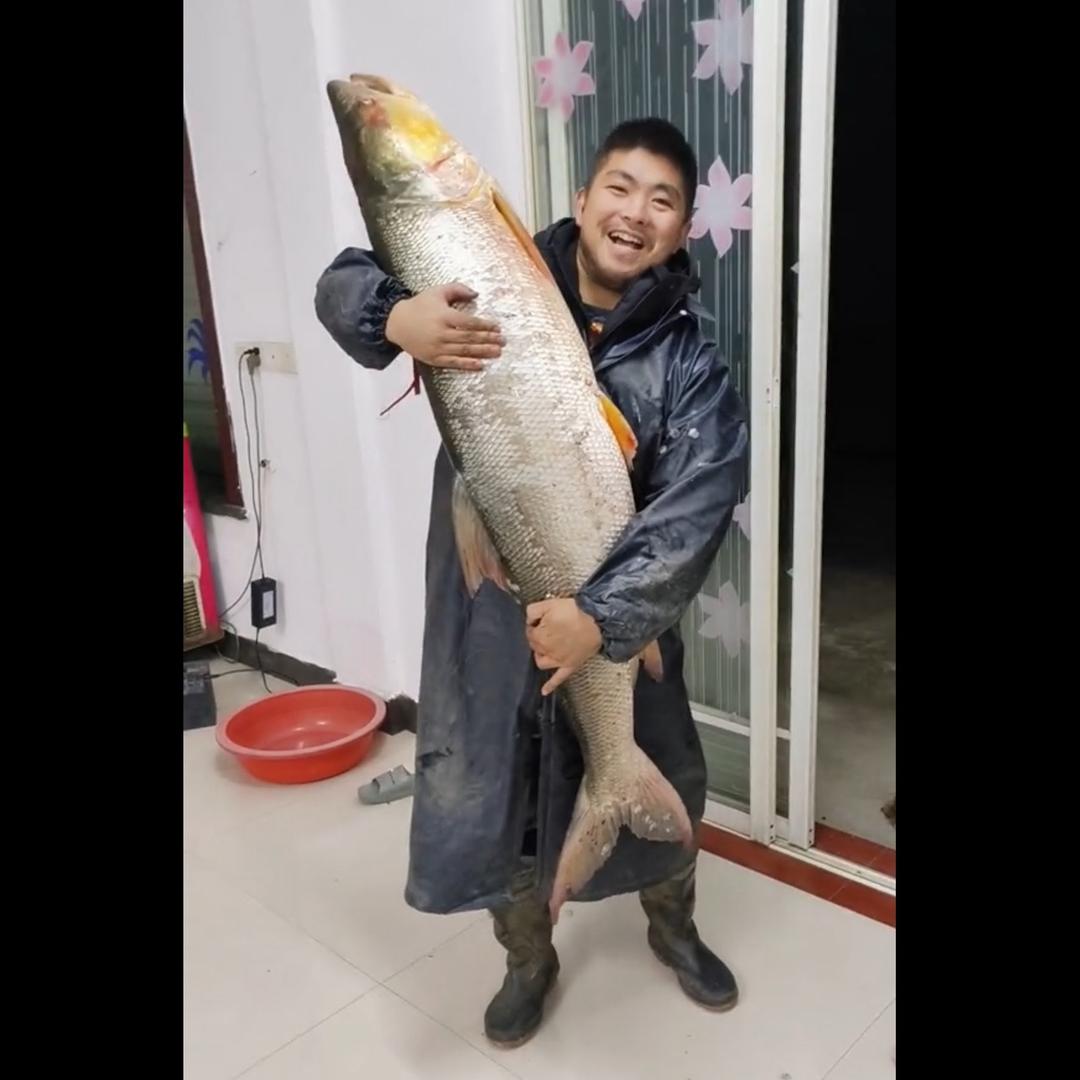康康撒网户外