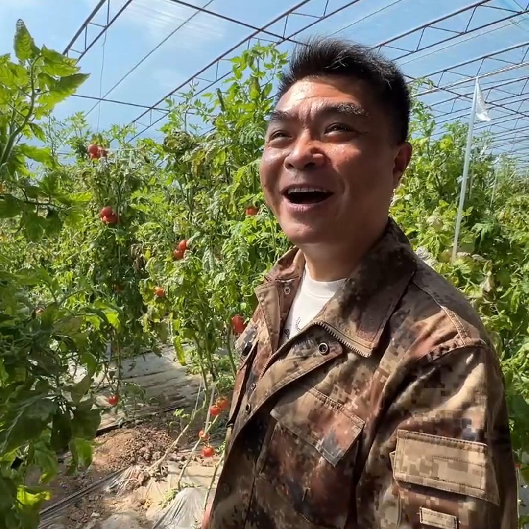 勇哥的地头菜