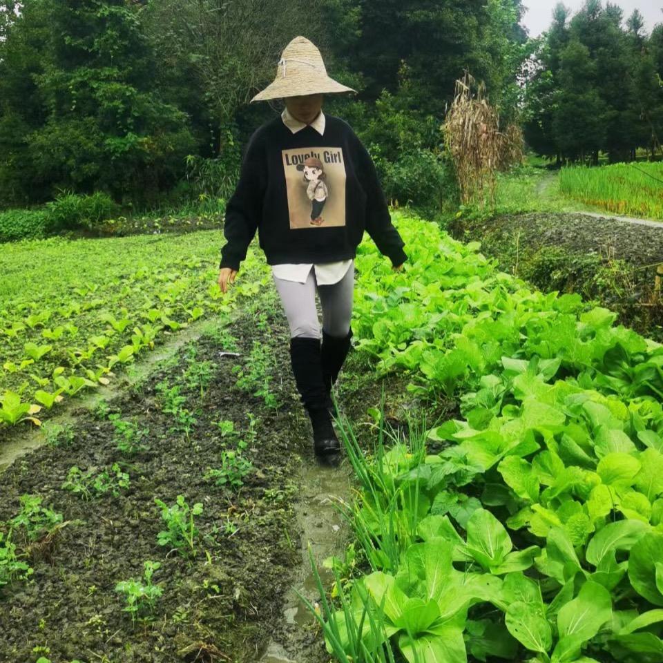 美特农资