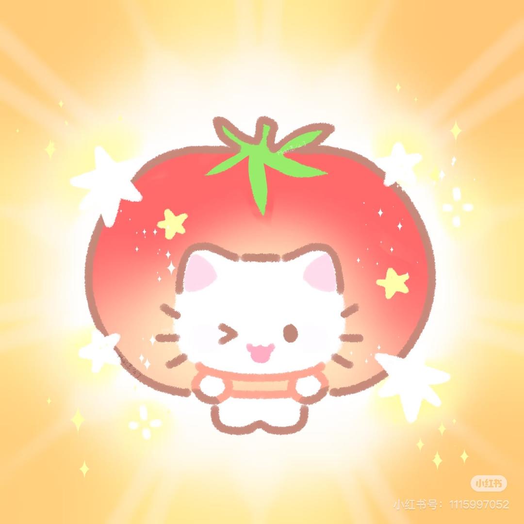 酸辣西红柿🍅