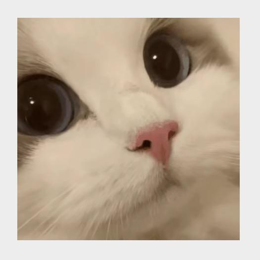 大半夜