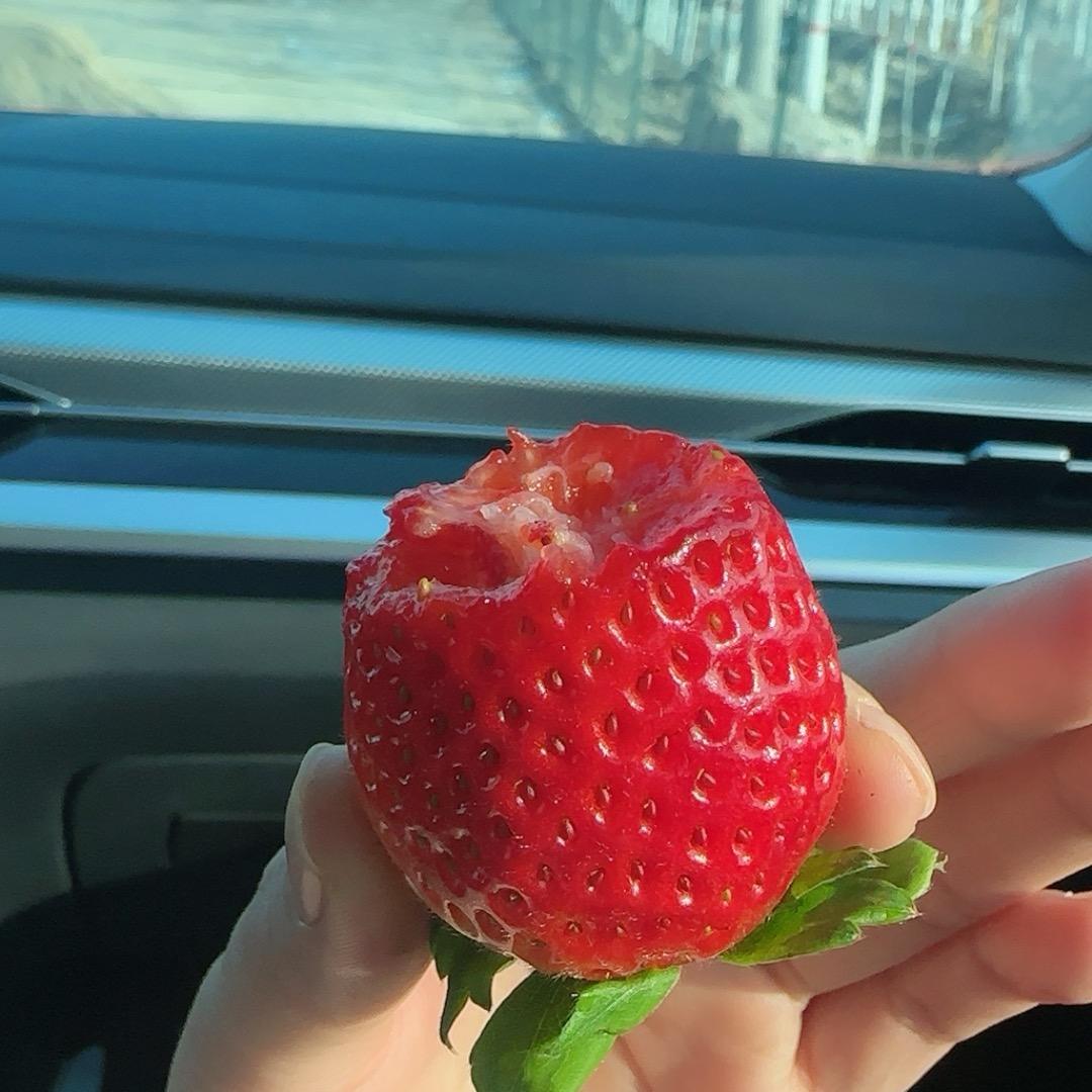 💕芯赱遠°