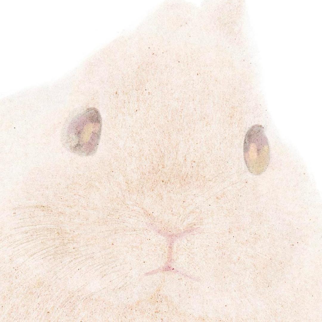 用户123456