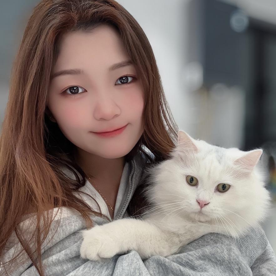 小娜的驱逐舰