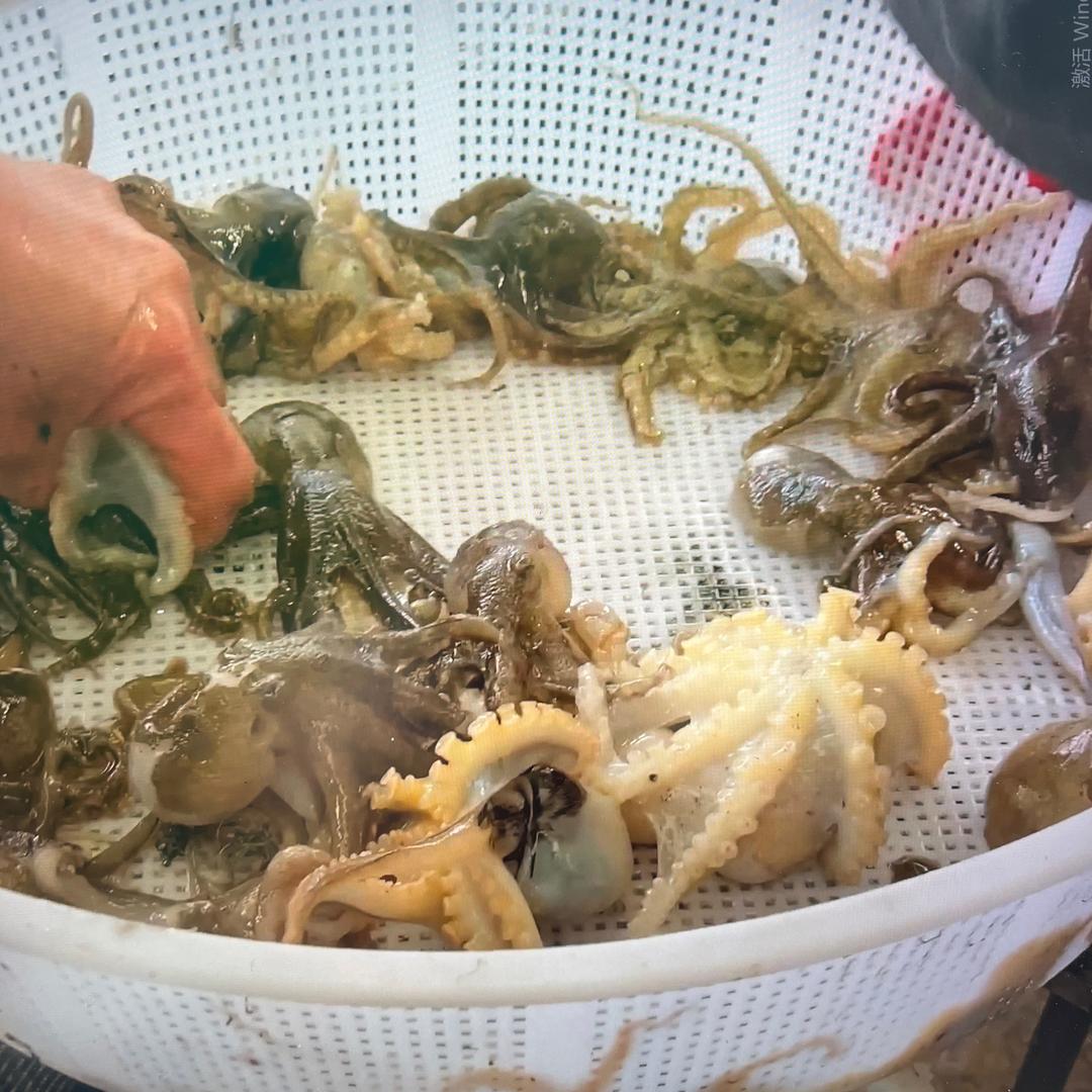 珍珍家