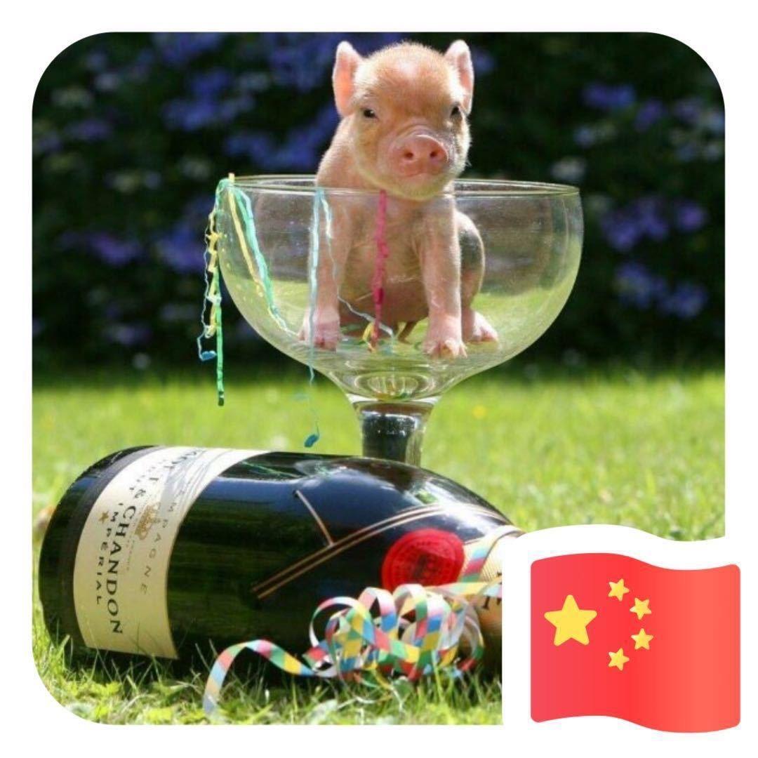 灬灬