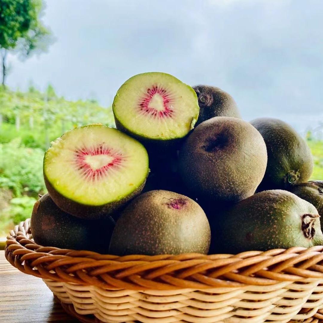 原产地鲜到家水果基地