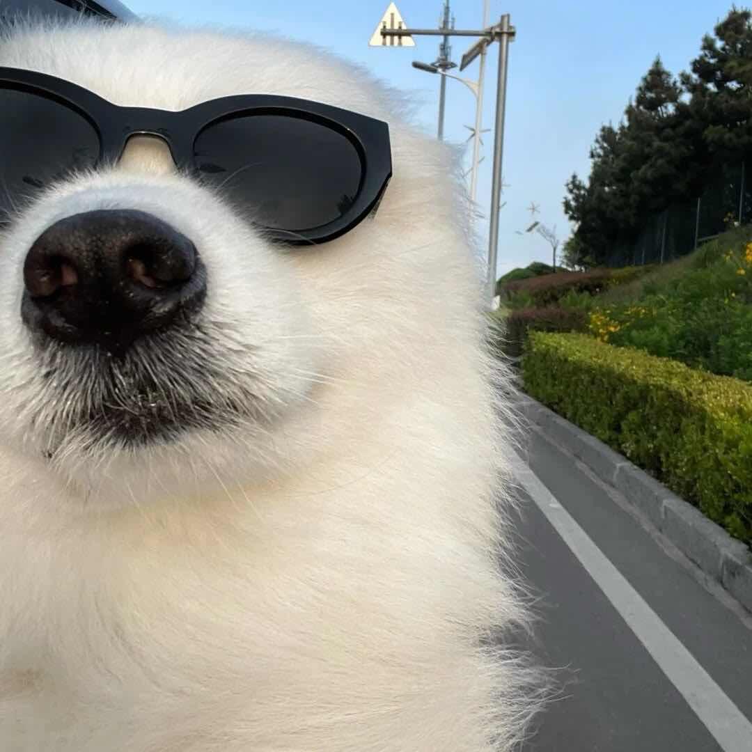 见野