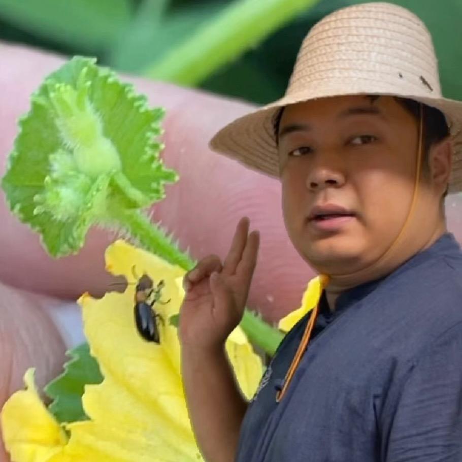 本草神农堂