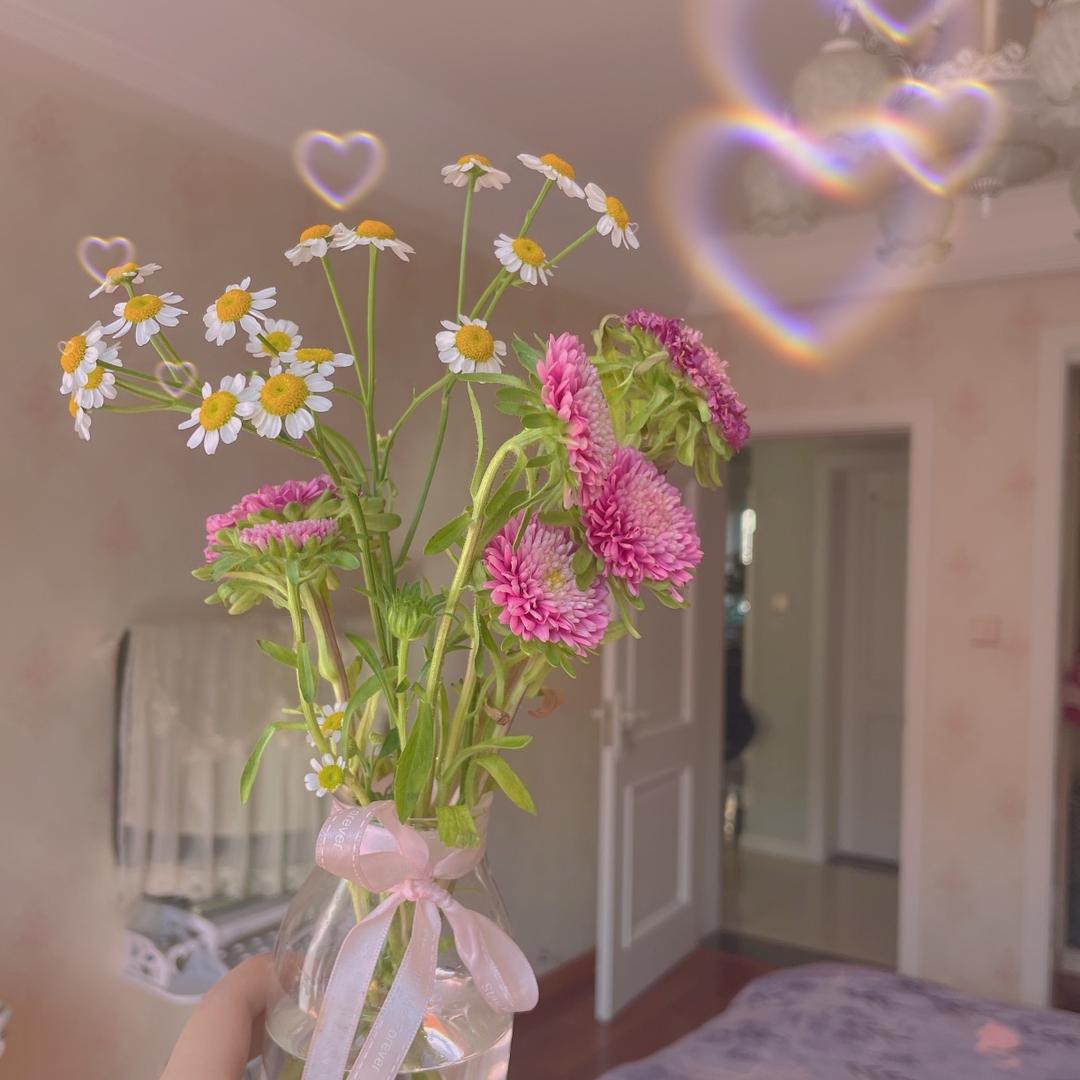 阿飞的小蝴蝶🦋