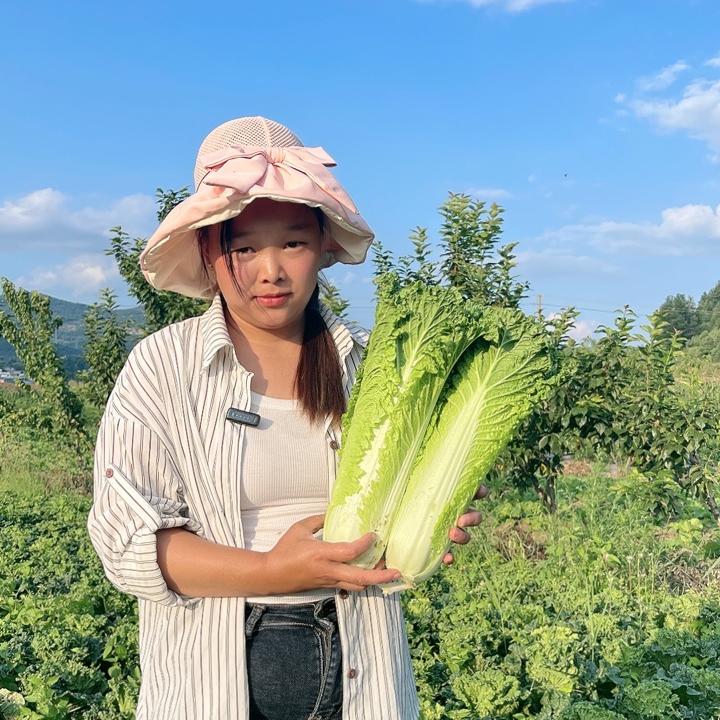 小蝶子农产品