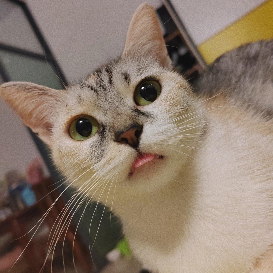 若水三千