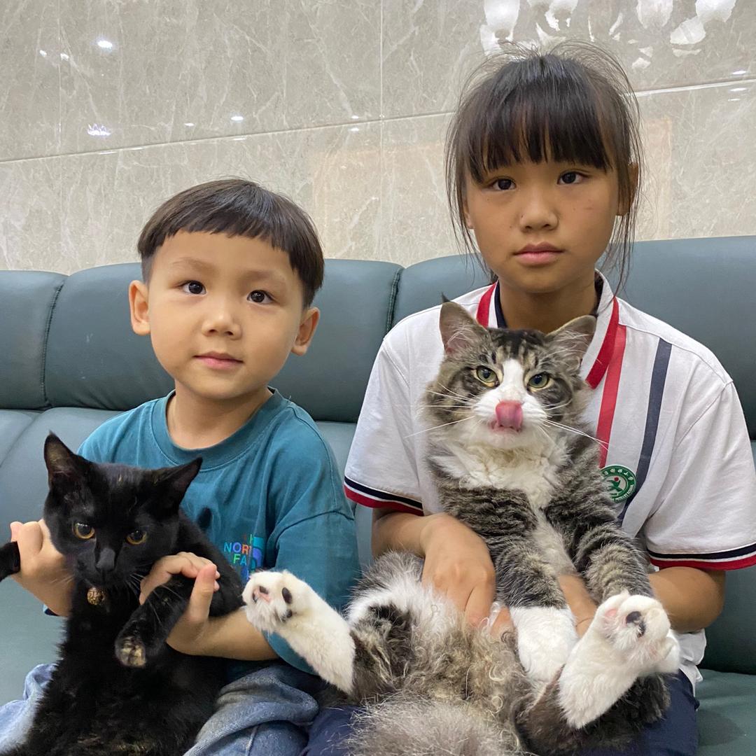 闽西以西