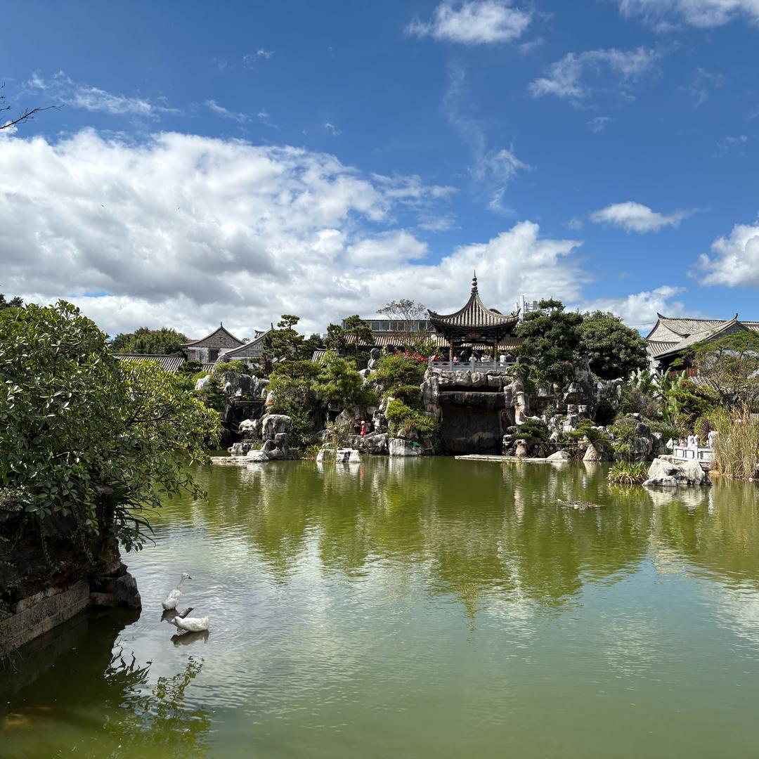 鱼小小