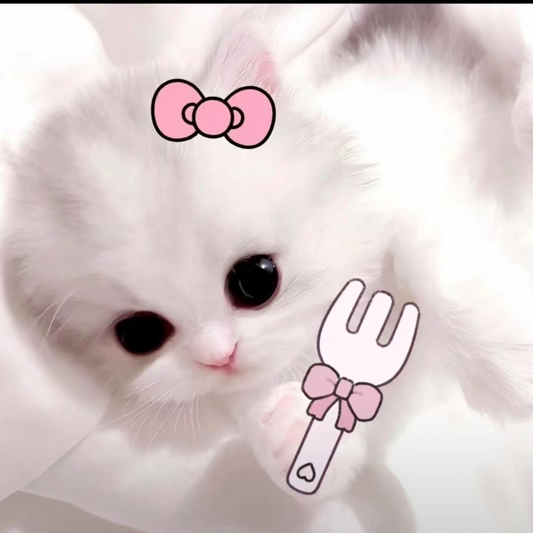 矢车菊