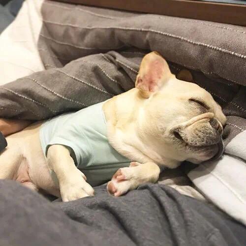 美娜不听话