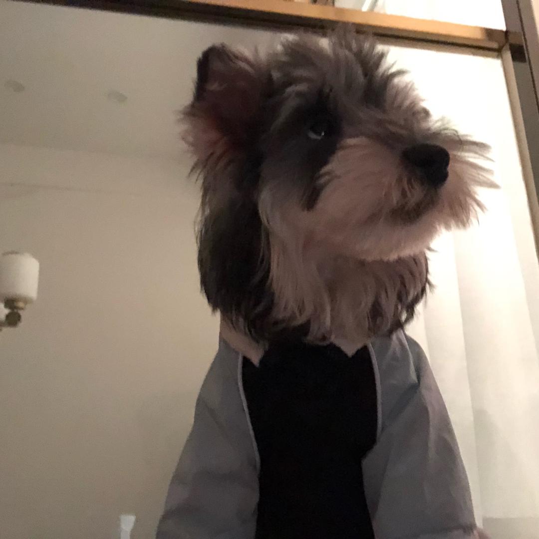 一朵☁️的旅行