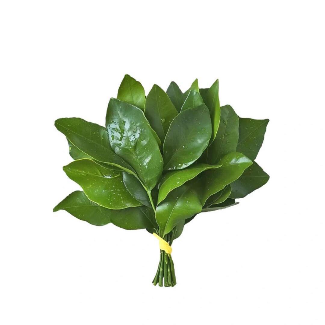 一舟花染