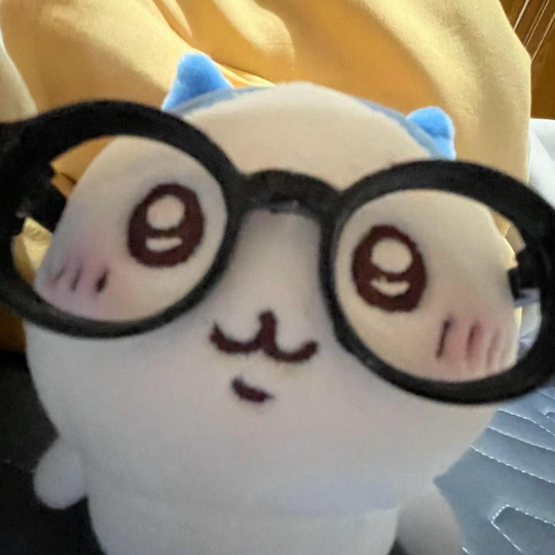 KT猫