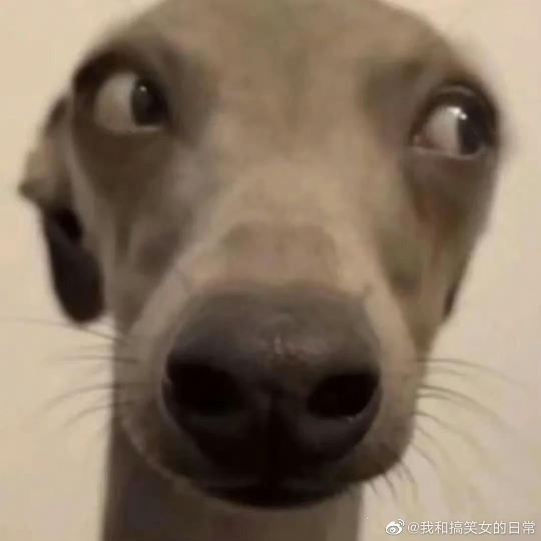 慈禧偷了我的富N代人生