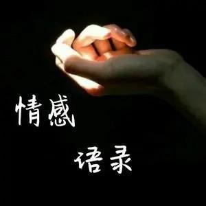 情感语录