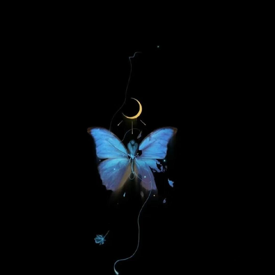 77🌙