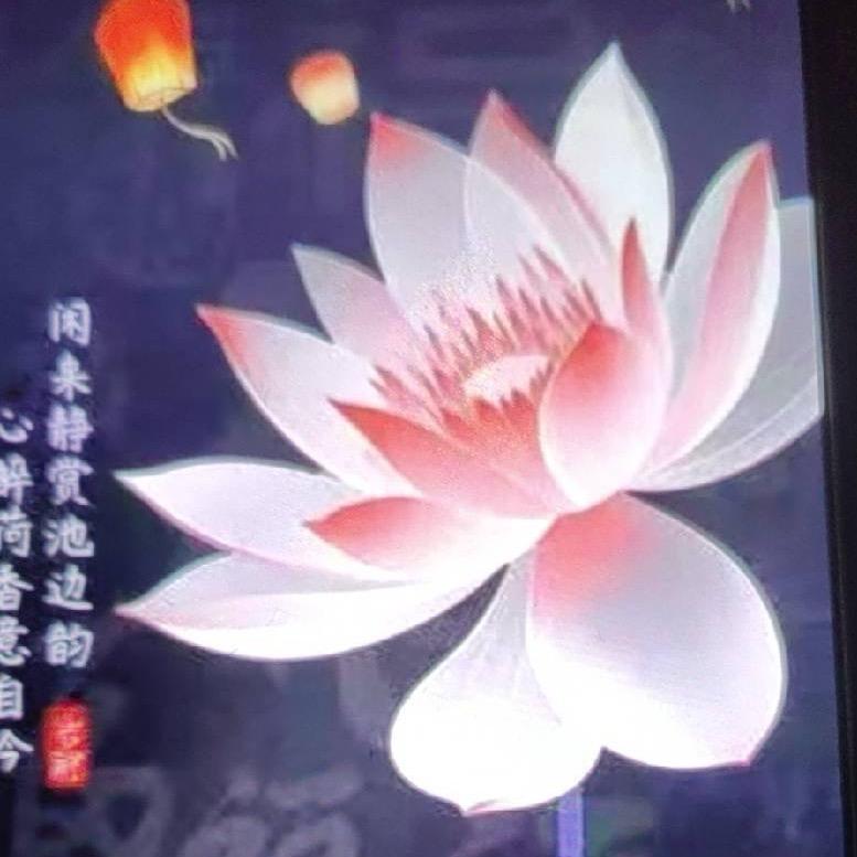 ❤️花开富贵🌹