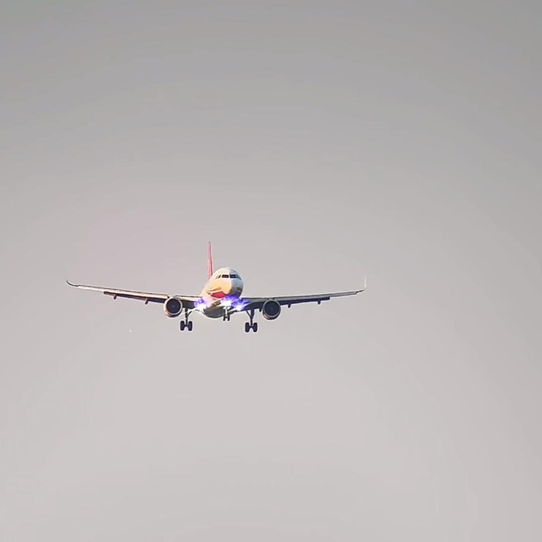 正心