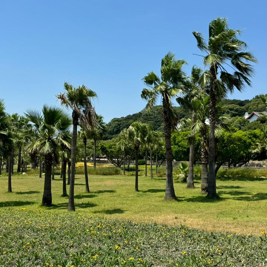 绍兴创泽君辉纺织有限公司