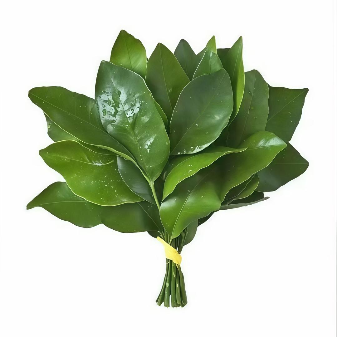 七安