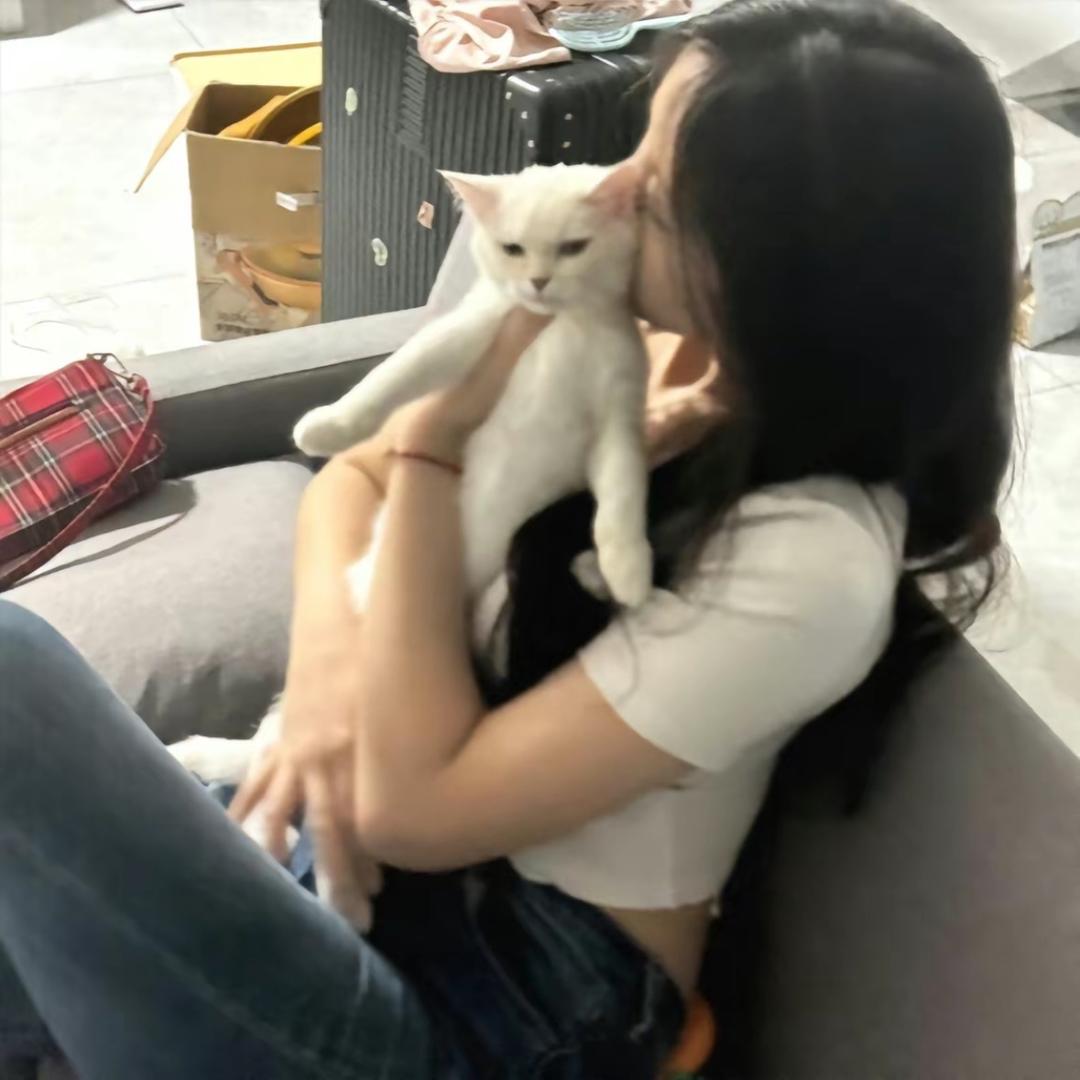 对我说晚安O