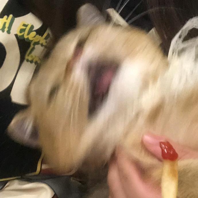 是阿壮没错
