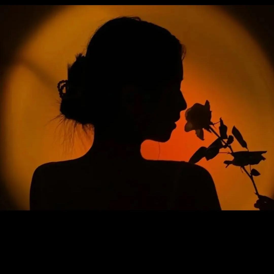 春风十里吹不动你