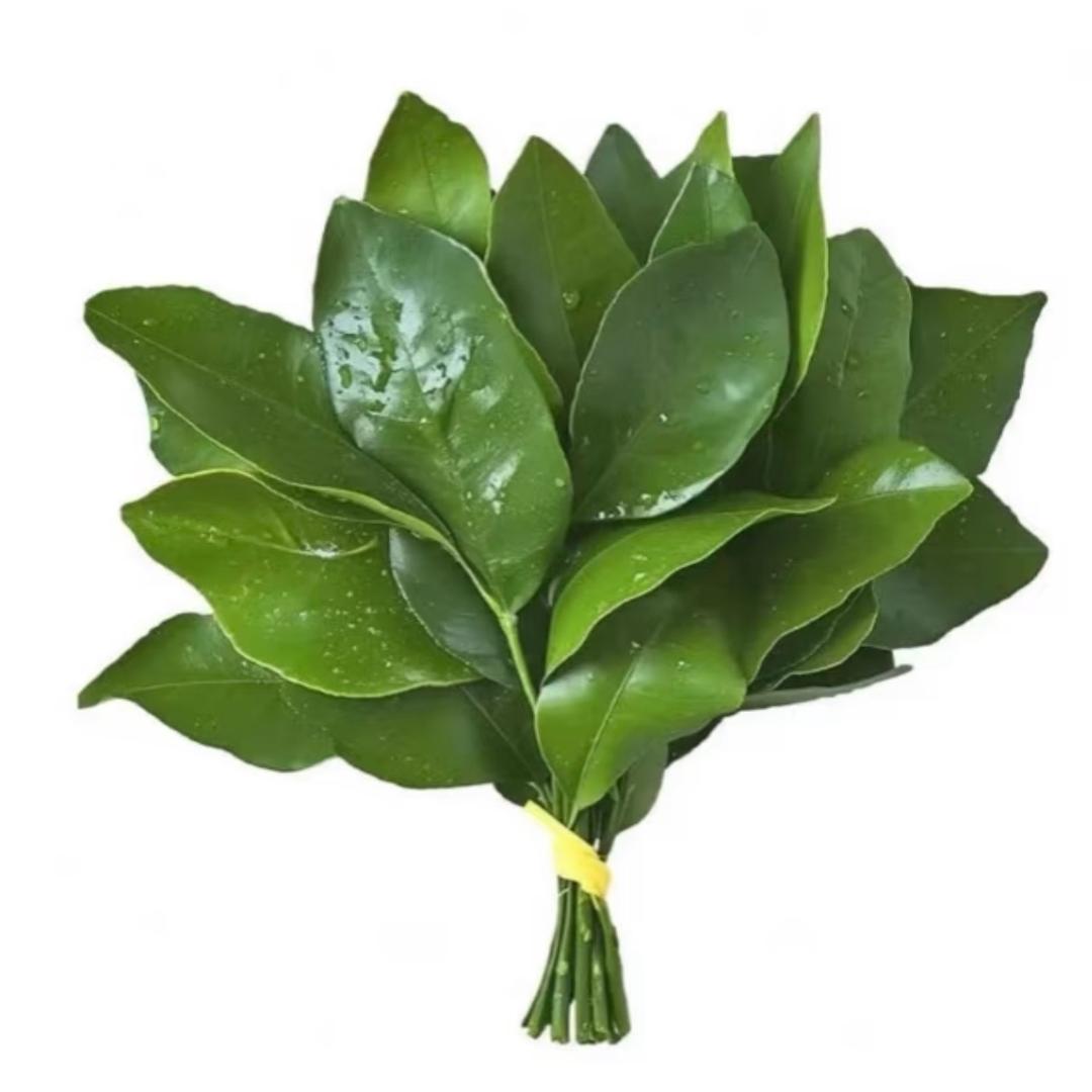 就喜欢睡觉