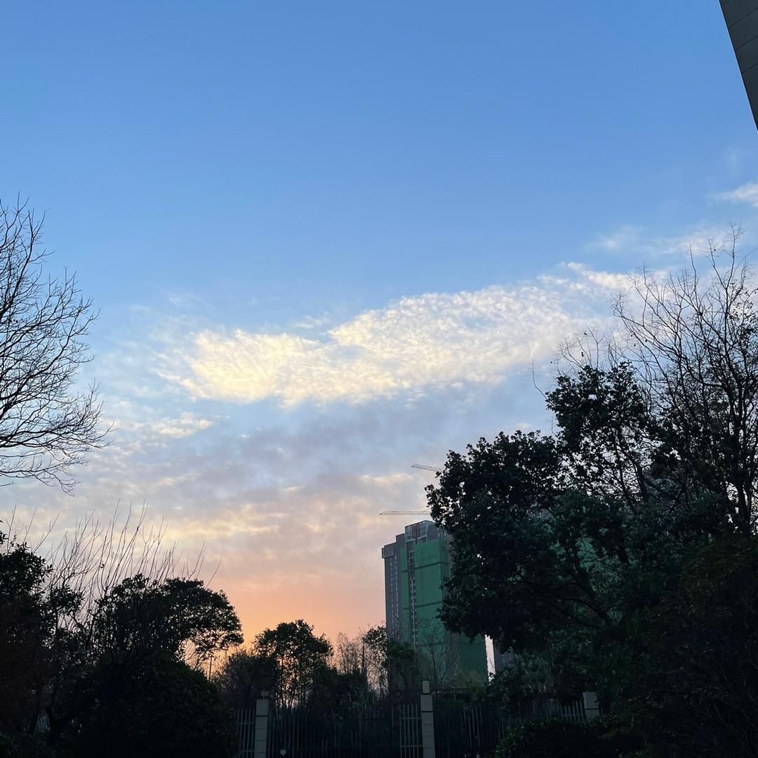 林哥甄选