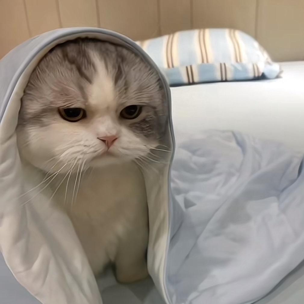 🌠
