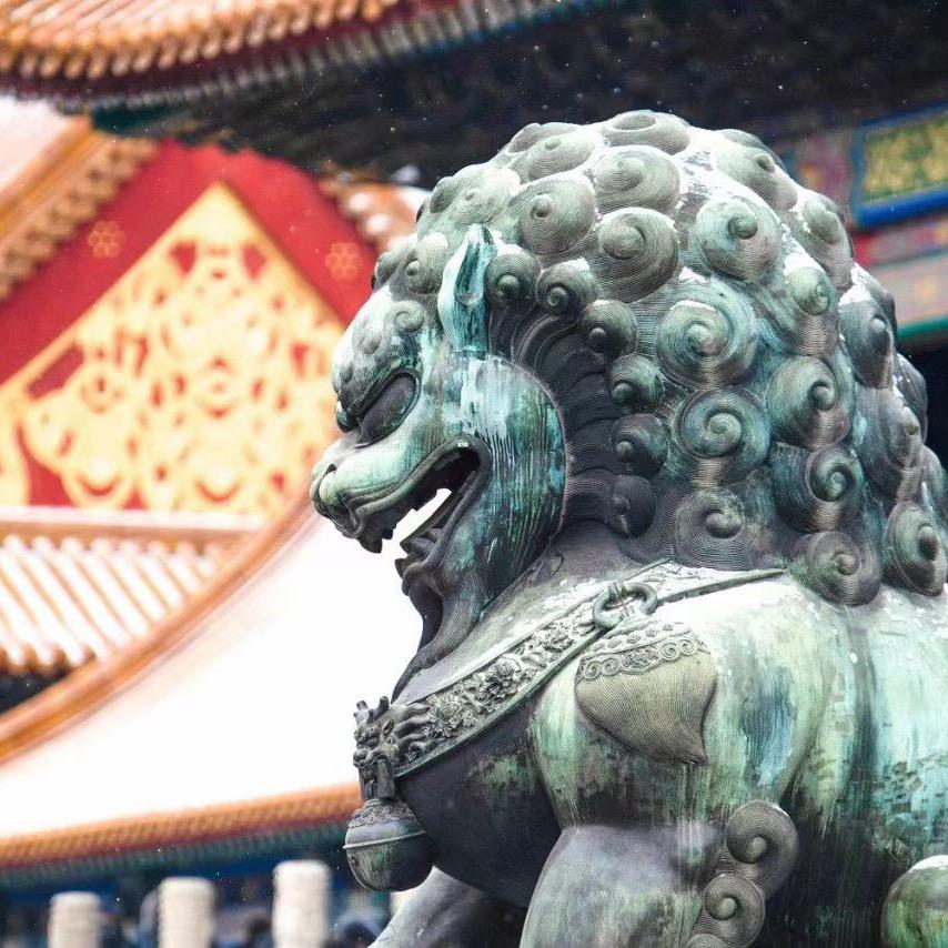 故宫狐狸🦊📷