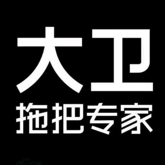 大卫清洁用品旗舰店