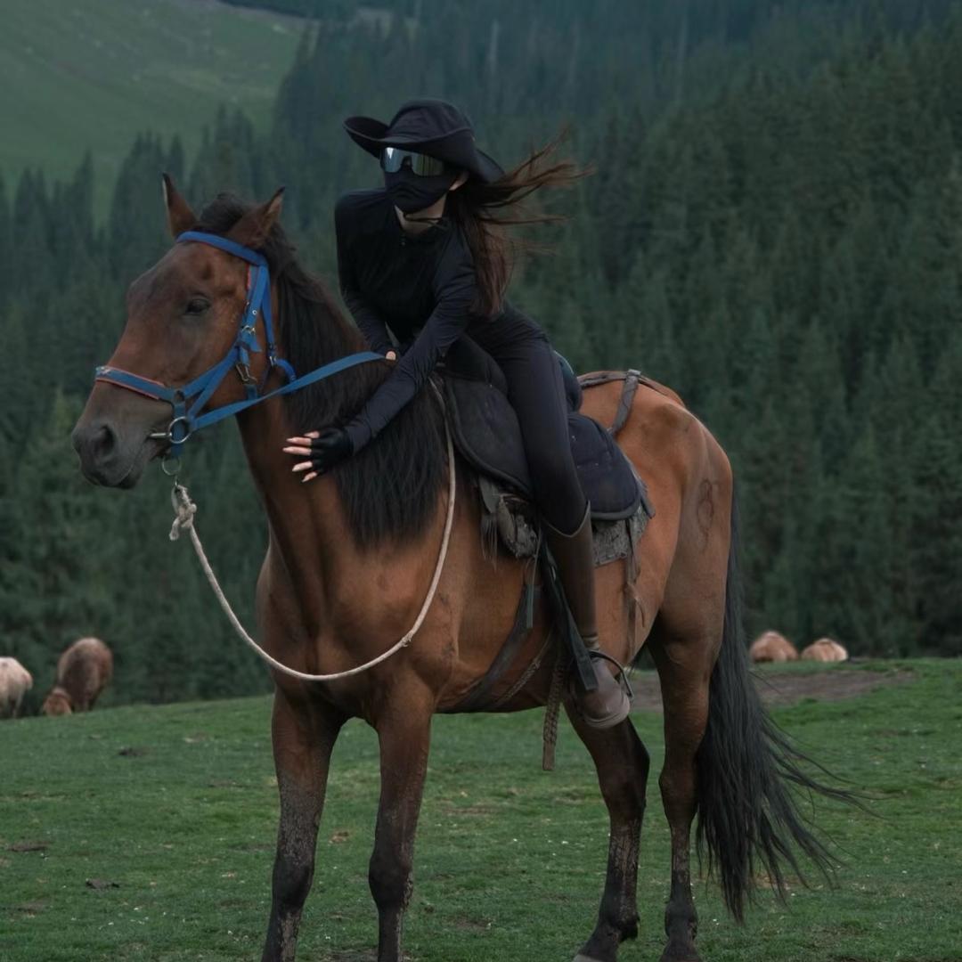 马场打杂的🐴