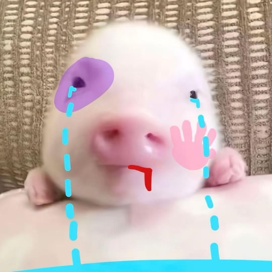 我马上开学了。