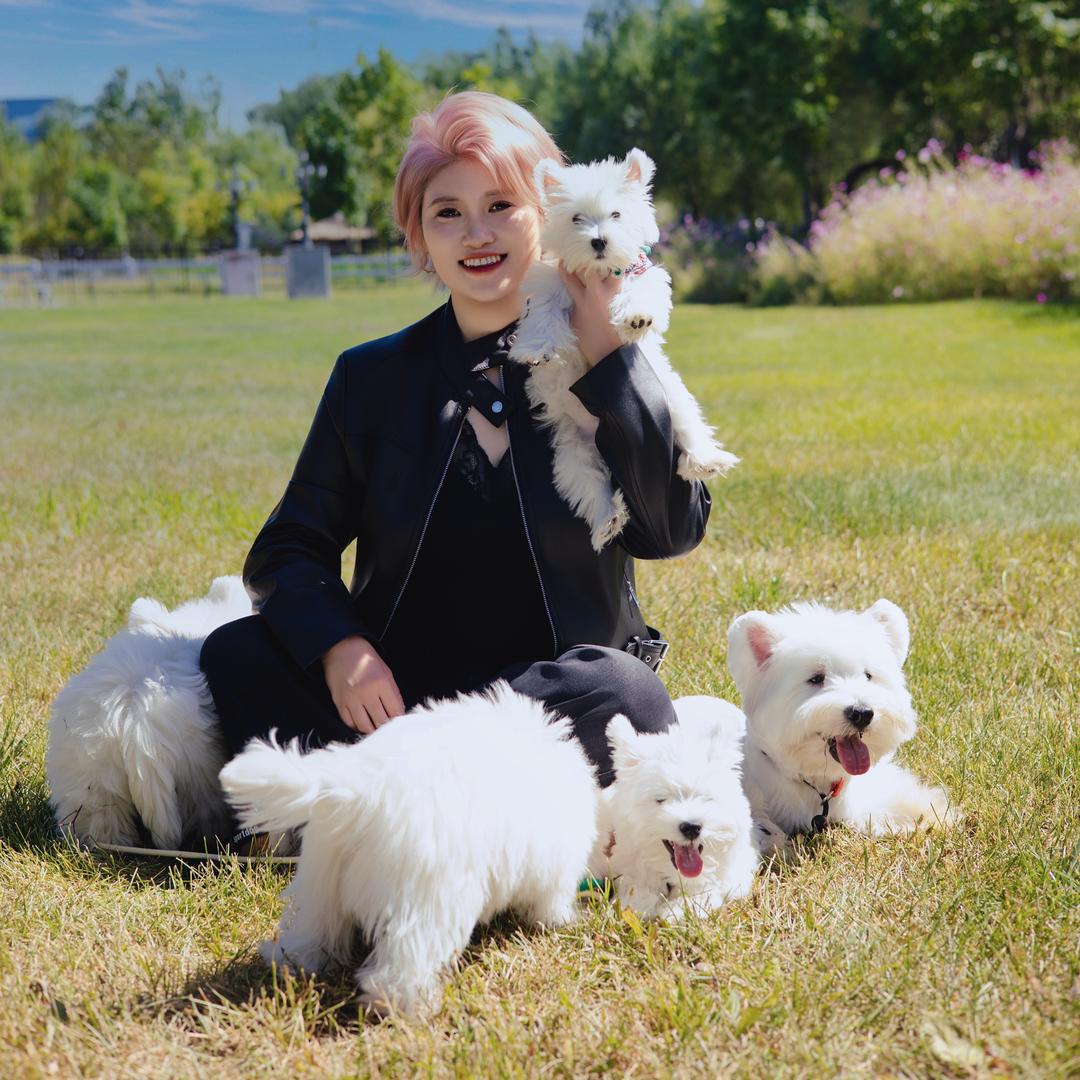 小杜家的『西高地』