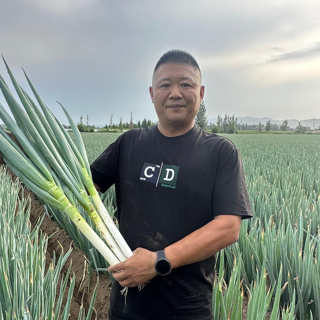 潍坊市坊子区建福蔬菜种植专业合作社