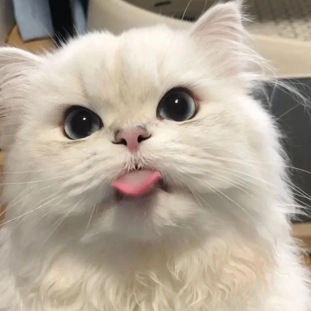 허티곱창