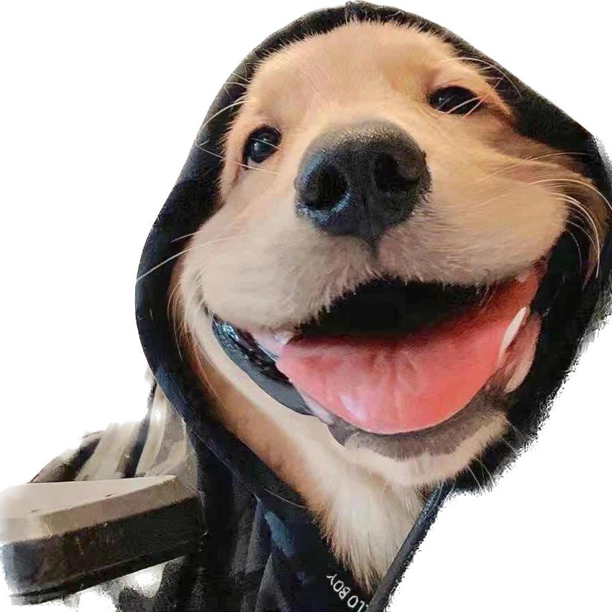 The Answer✨🇵🇸