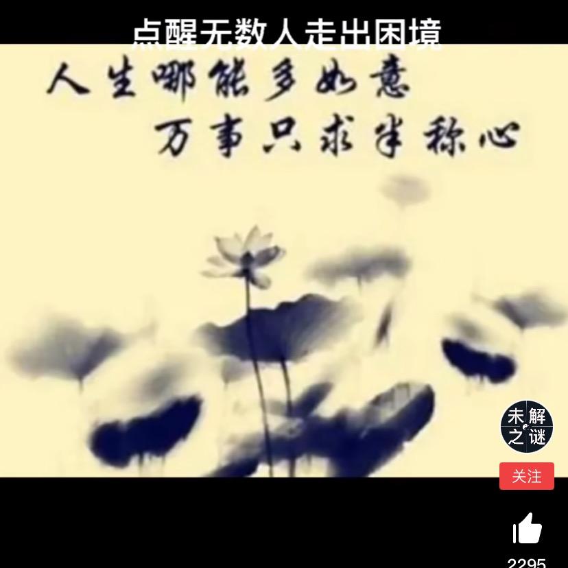 老张