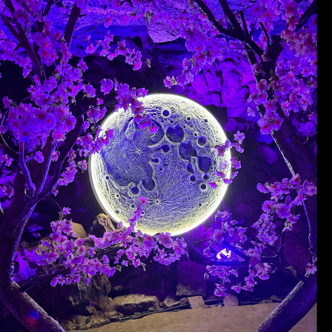 勤勤小手工